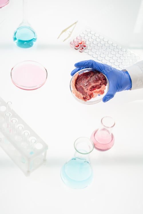 Preview: Researcher holding petri dish with sample of raw vegetable meat over workplace