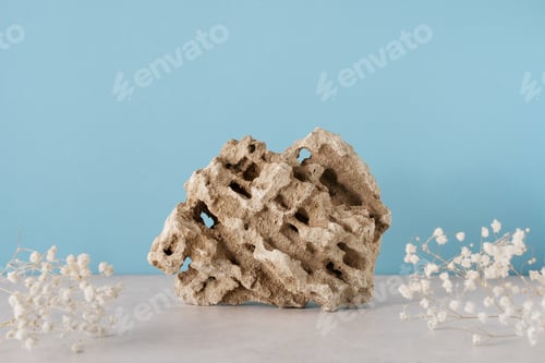 Preview: Beaity cosmetology nature concept with empty stone podium stand and shadow of leaf