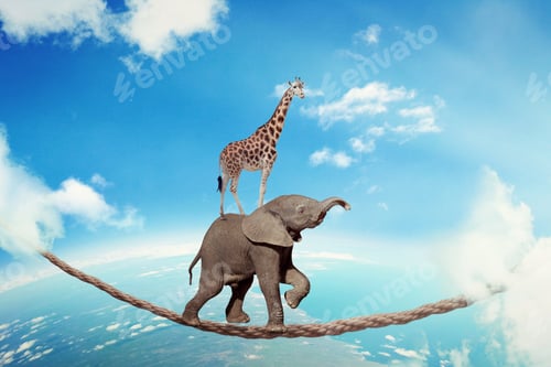 Preview: Managing Risk Business Challenges Uncertainty Concept. Elephant With Giraffe Walking On Dangerous