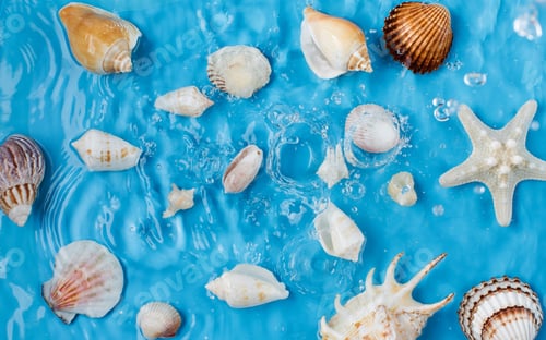 Preview: Different seashells and water splash on summer beach on blue background upper
