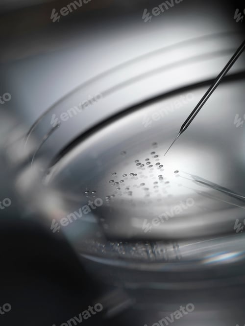 Preview: Micro pipette and cells in petri dish
