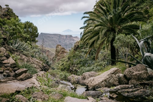 Preview: Breathtaking view of a stream winding through a green landscape, with lush trees and bushes