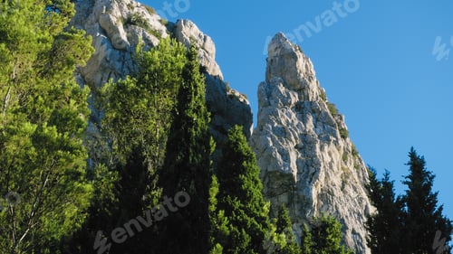 Preview: Rocky ridge in the middle of the trees
