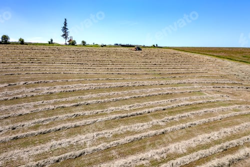 Field of Cut Hay Under a Blue Sky