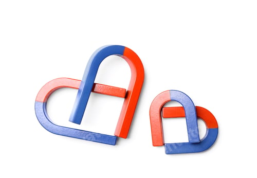 Preview: Red and blue horseshoe magnets on white background, top view