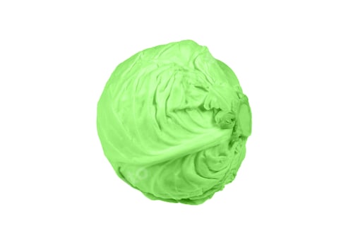 Preview: Cabbage Fresh On A Bright Background Isolated