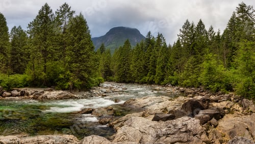 Preview: Panoramic View of the river in the Canadian Mountain Landscape