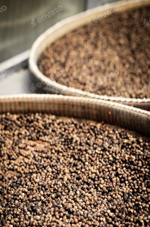 Preview: trays of kampot organic pepper in drying room in cambodia