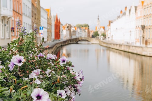 Preview: Flowers on the bridge in Bruges, Belgium