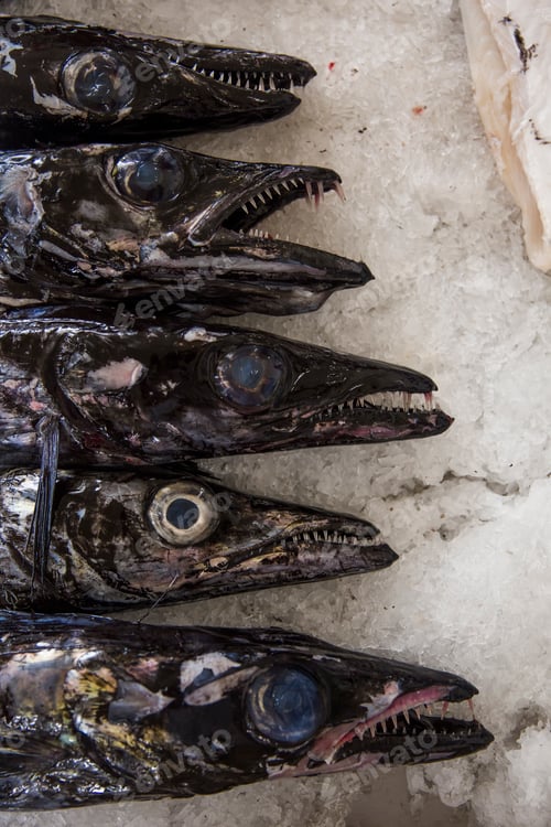 Preview: Espada fish on traditional fish market in Funchal at Madeira island, Portugal