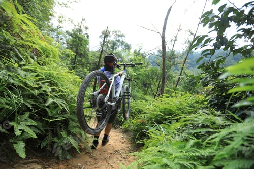 Preview: Cross country cyclist walking with carrying a mountain bike in the forest