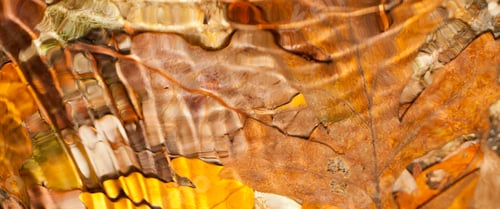 Preview: River Water, Sierra de Guadarrama National Park, Spain