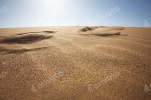 Preview: Sahara desert