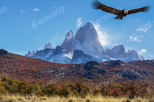 Preview: Condor