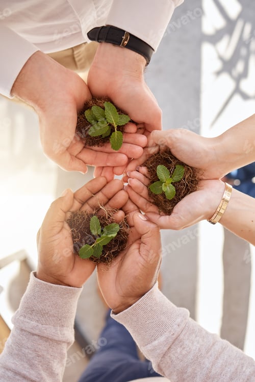 Preview: Plant in group hands or women palm for earth day gardening, startup growth and sustainable business