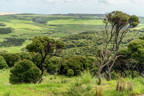 Preview: beautiful green valley on cloudy day, New Zealand