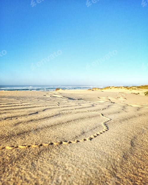 Preview: Sand Squiggles