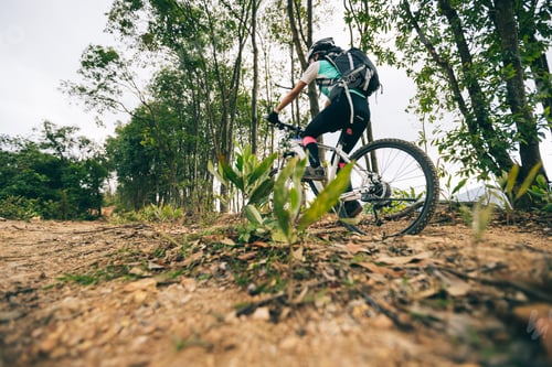 Preview: CyclingWoman cyclist cycling on mountain top forest trail
