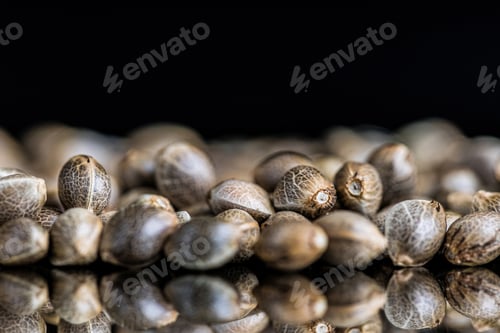 Preview: Blurry shot of cannabis seeds on a reflecting surface
