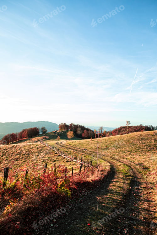 Preview: Autumn landscape with winding path and vibrant foliage.