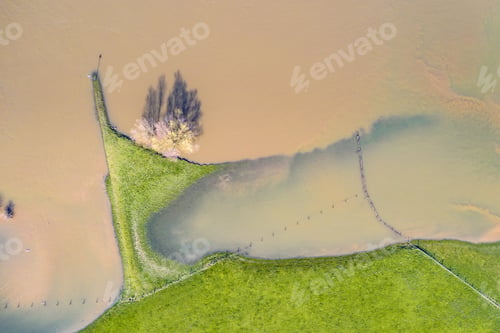Preview: Flooded river landscape