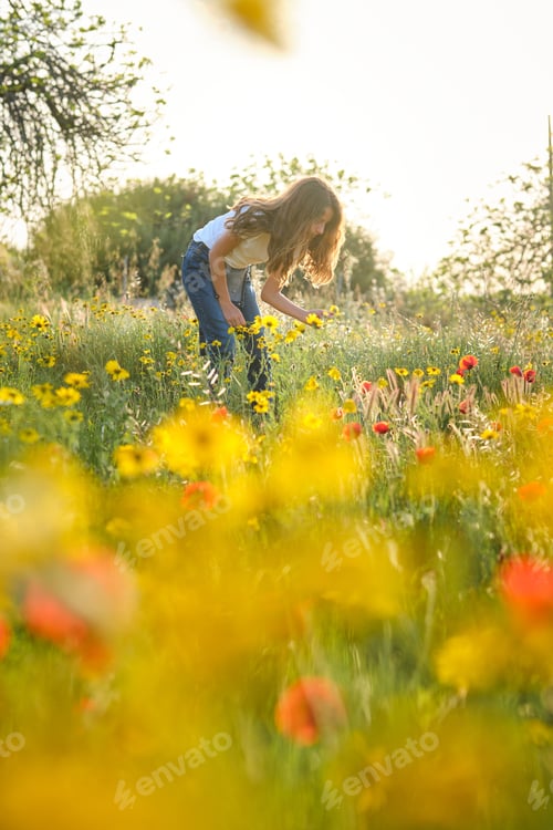 Preview: Girl picking flowers in field in summer
