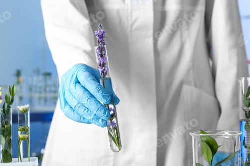 Preview: Scientist holding test tube with flower in laboratory, closeup