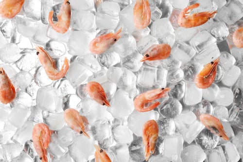 Preview: Flat lay composition with shrimps on ice cubes