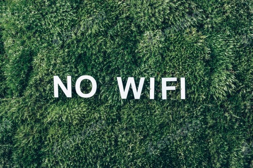Preview: Word WIFI on moss, green grass background. Top view. Copy space. Banner. Biophilia design. Nature