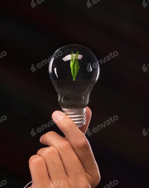 Preview: Man holding light bulb with growing plant