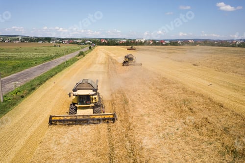 Preview: Aerial view of combine harvesters harvesting large yellow ripe wheat field.