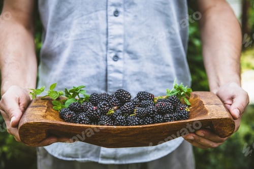 Preview: Blueberries