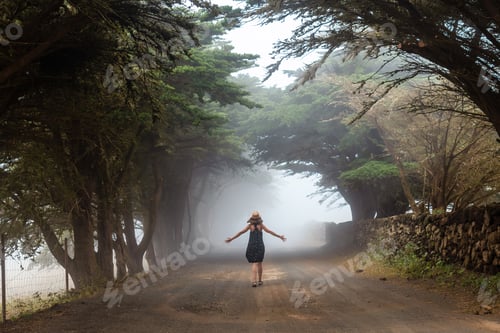 Preview: A woman walking through foggy trees towards the juniper forest in El Hierro. Canary Islands