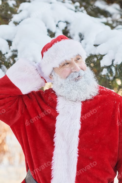 Preview: Traditional Santa Claus in Forest