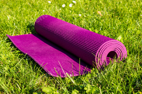 Preview: High angle shot of a rolled-up purple yoga mat on the grass-covered meadow