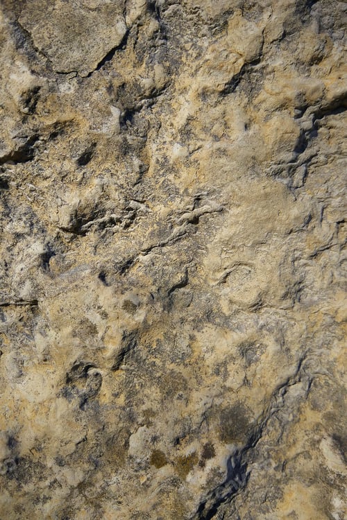 Preview: Texture Of Calcareous Wall, Abstract Pattern With Yellow Hues, Background With Limestone In Retro