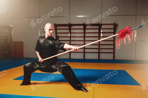 Preview: Wushu master training with spear, martial arts