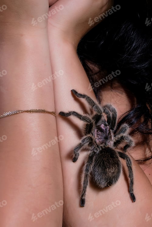 Preview: Dangerous tarantula walking around beautiful woman's body.