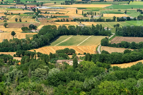 Preview: Summer landscape from Citerna, Tuscany, Italy