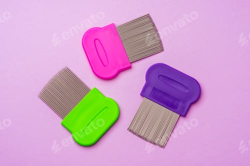 Preview: Three combs for removing lice and nits on lilac background