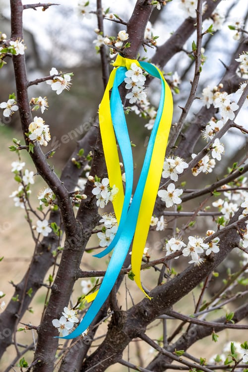 Preview: Colorful blue and yellow fabric ribbons on a flowering tree