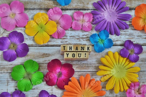 Preview: Saying thank you with gratitude, words in the wild, letters spelling out thank you