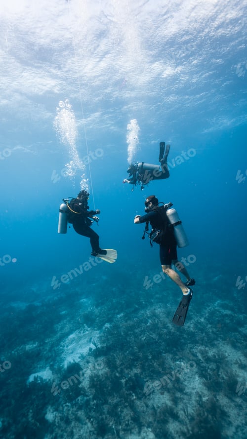 Preview: just married couple doing safety stop with the instructor