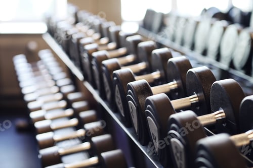 Rows of Weights Neatly Arranged in Gym