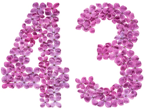 Preview: Arabic numeral 43, forty three, from flowers of lilac, isolated on white background