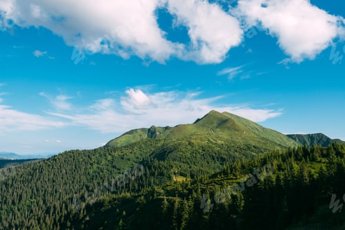 Preview: Picturesque summer landscape in sunny day