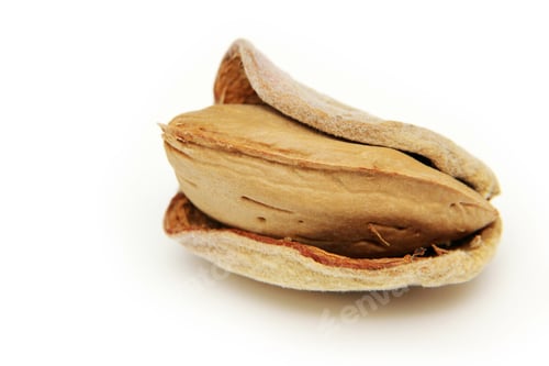 Preview: The almond isolated on white background. Studio shot.