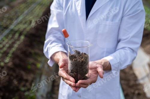 Preview: Close up of agricultural scientist's hands holding a glass beaker with plant soil in greenhouse farm