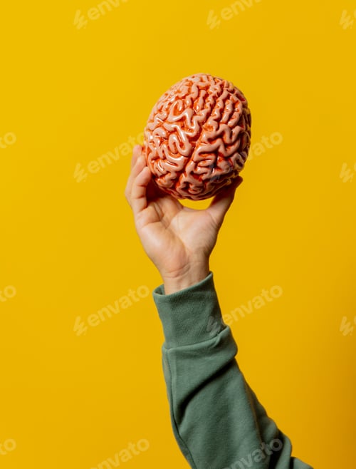 Preview: Male hand holds human brain on yellow background