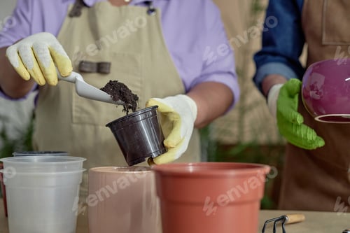 Preview: Woman Repotting Plants Close Up